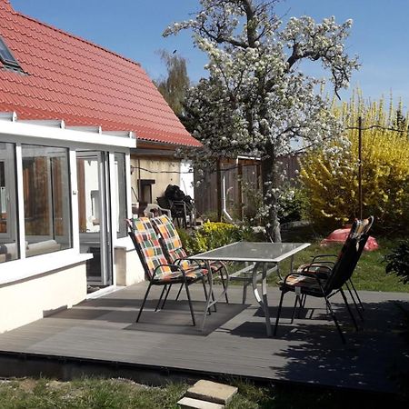 Ferienhaus Rosi Michaelstein Eksteriør billede